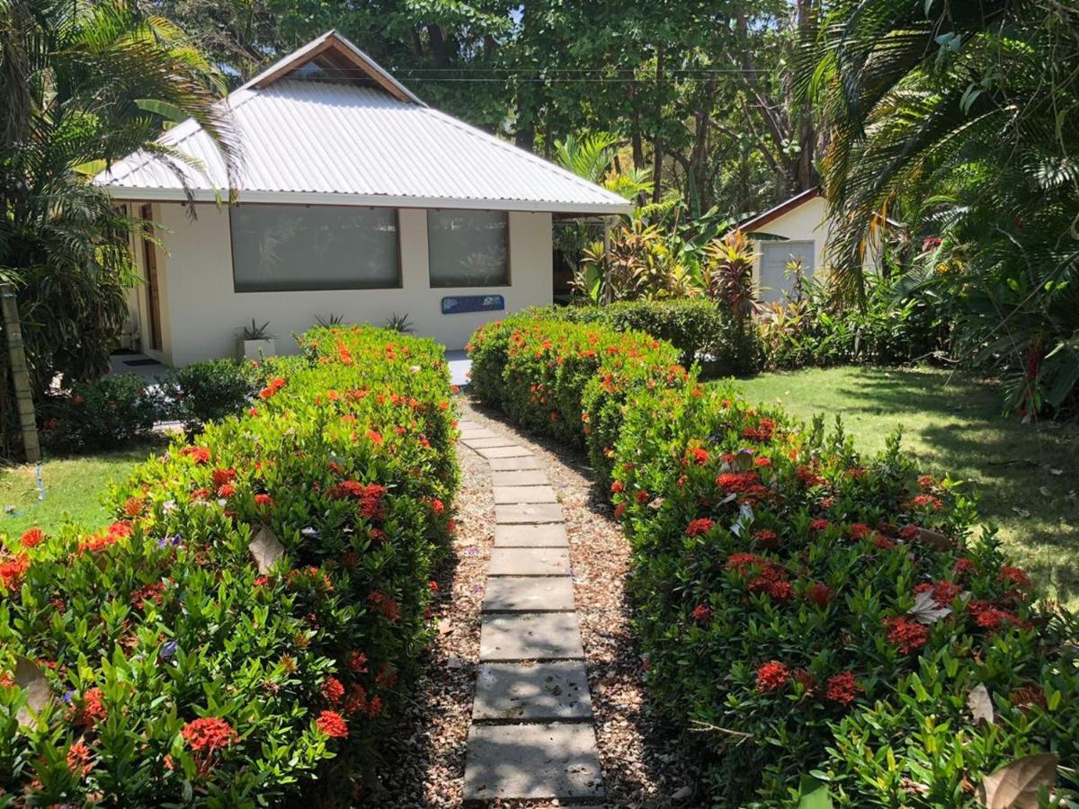 Casa Cecilia Beach Front Playa Santa Teresa  Екстер'єр фото
