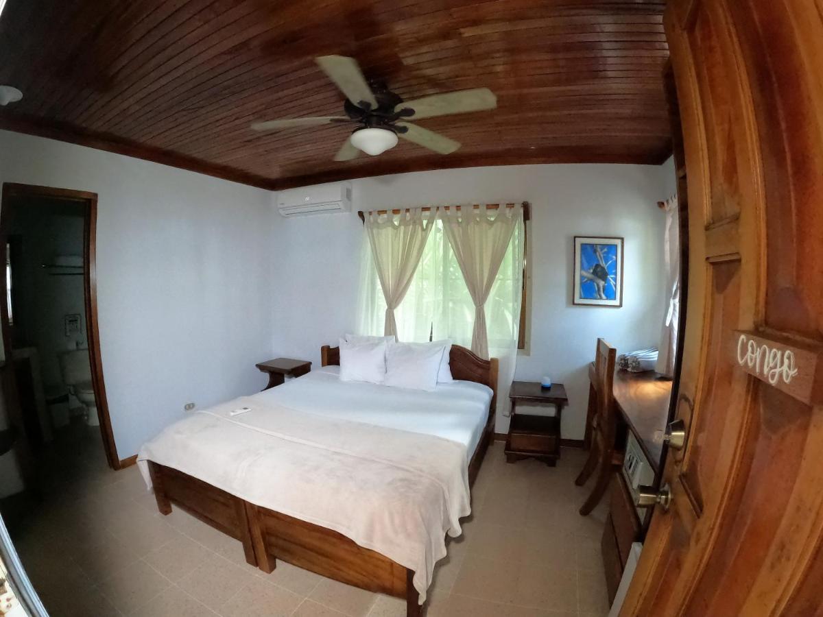 Casa Cecilia Beach Front Playa Santa Teresa  Екстер'єр фото