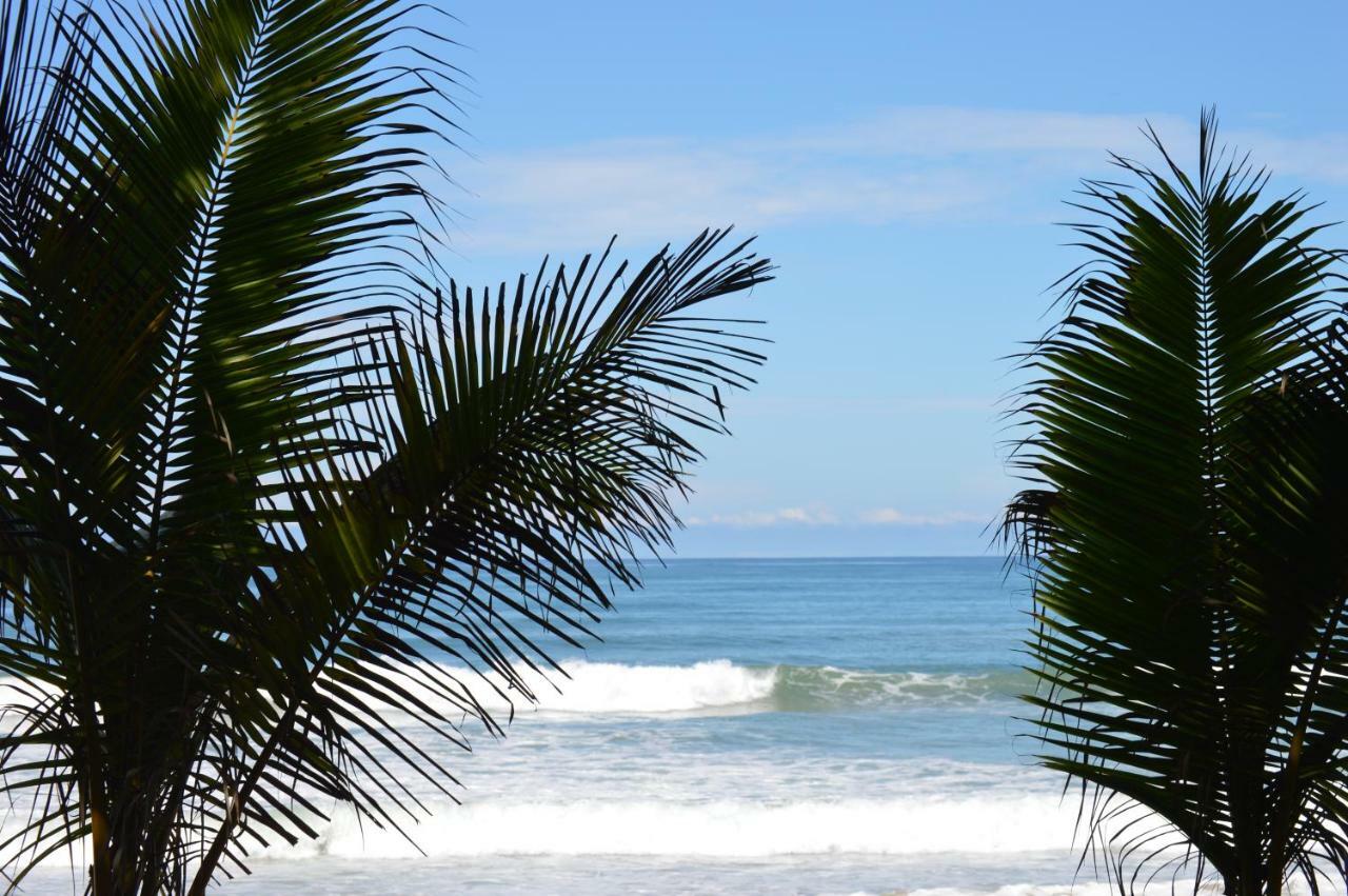 Casa Cecilia Beach Front Playa Santa Teresa  Екстер'єр фото